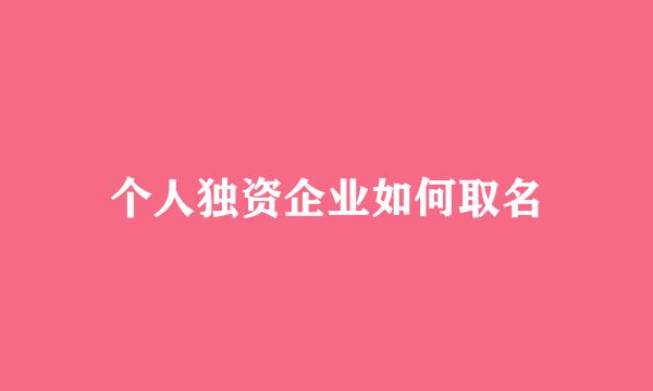 个人独资企业如何取名