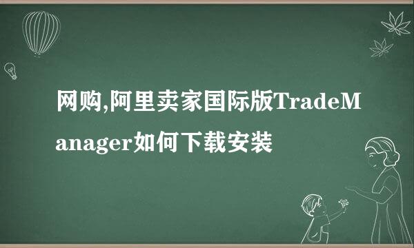 网购,阿里卖家国际版TradeManager如何下载安装
