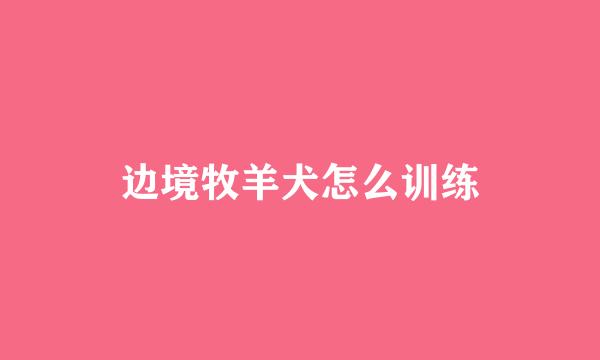 边境牧羊犬怎么训练