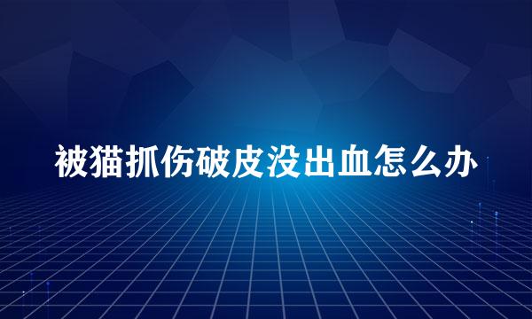 被猫抓伤破皮没出血怎么办