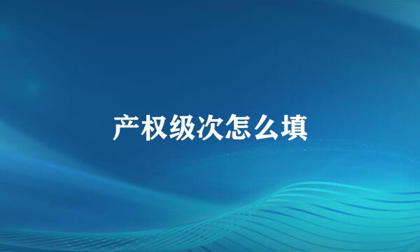 产权级次怎么填