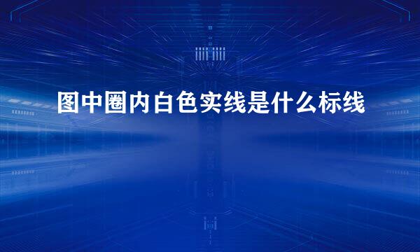 图中圈内白色实线是什么标线