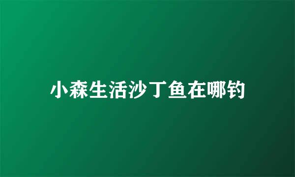 小森生活沙丁鱼在哪钓
