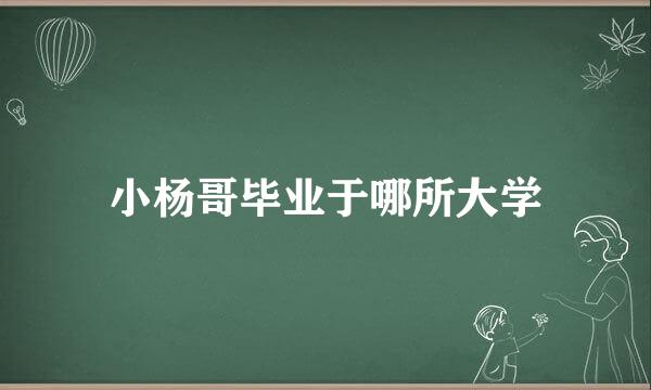 小杨哥毕业于哪所大学