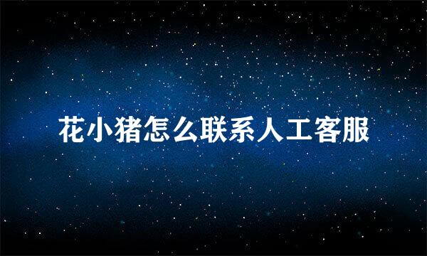 花小猪怎么联系人工客服