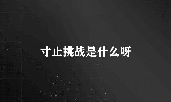 寸止挑战是什么呀
