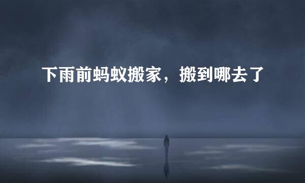 下雨前蚂蚁搬家,搬到哪去了
