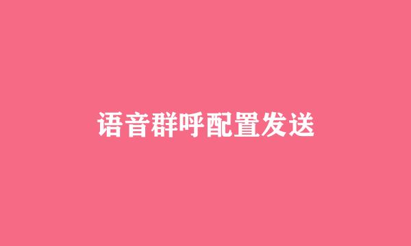 语音群呼配置发送