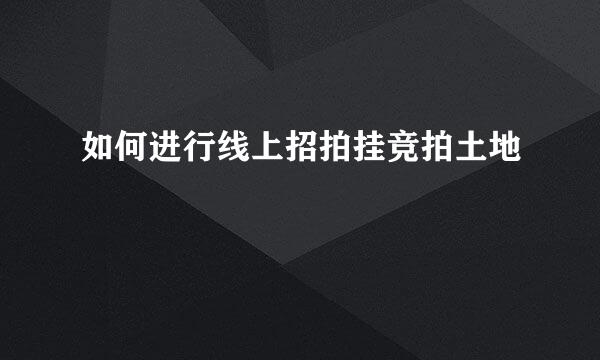 如何进行线上招拍挂竞拍土地