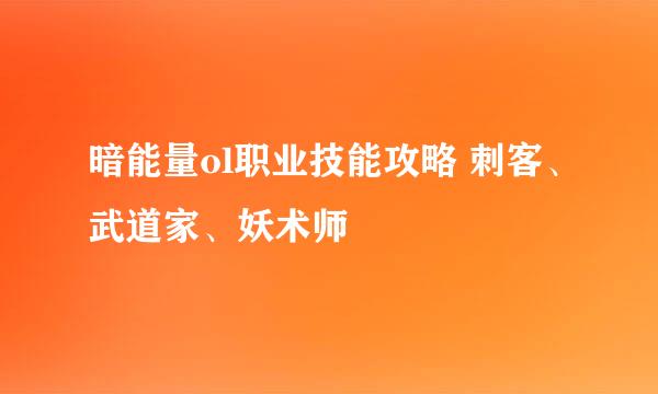 暗能量ol职业技能攻略 刺客、武道家、妖术师