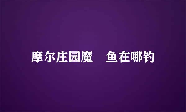 摩尔庄园魔鳉鱼在哪钓