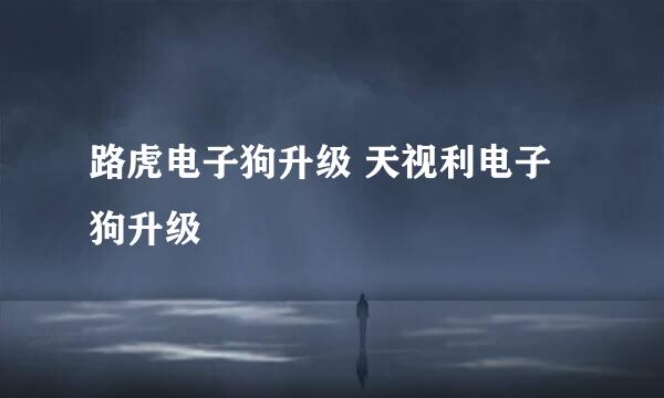 路虎电子狗升级 天视利电子狗升级