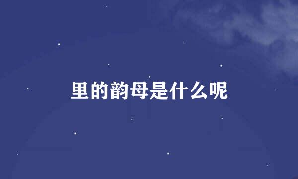 里的韵母是什么呢