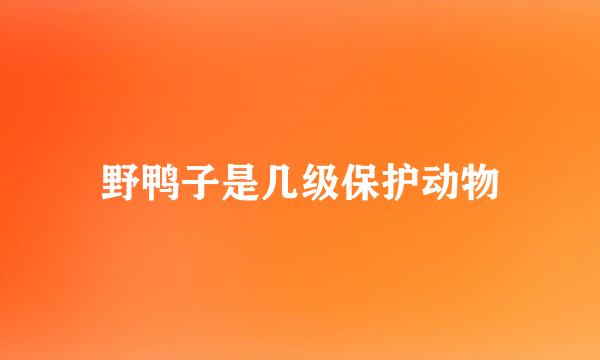野鸭子是几级保护动物