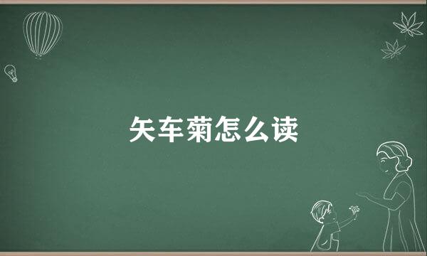 矢车菊怎么读