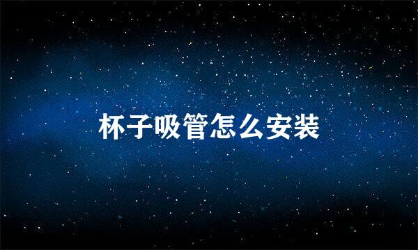 杯子吸管怎么安装