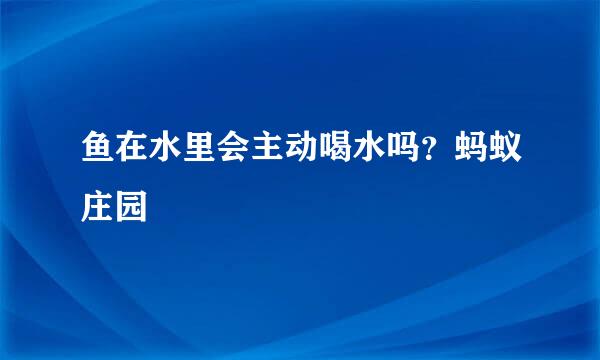 鱼在水里会主动喝水吗？蚂蚁庄园