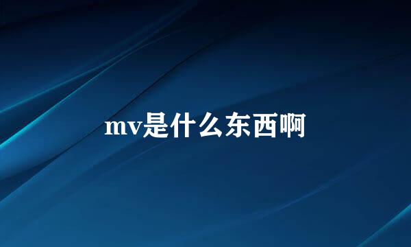 mv是什么东西啊