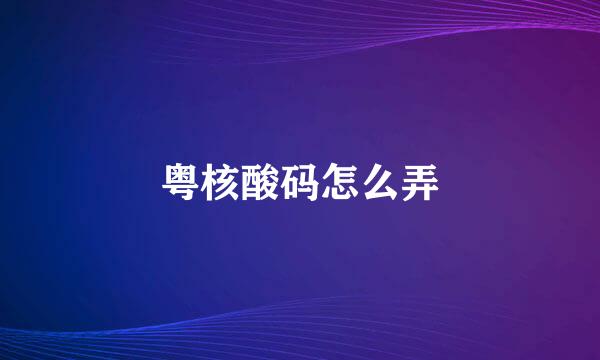 粤核酸码怎么弄