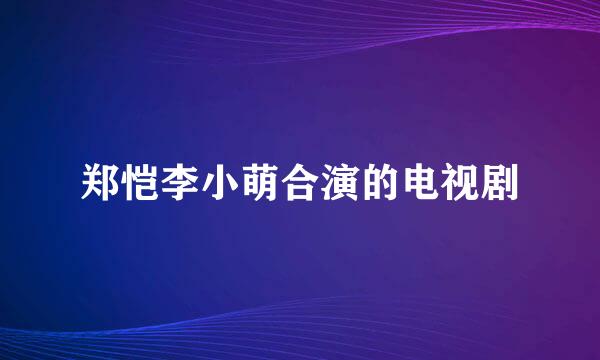 郑恺李小萌合演的电视剧