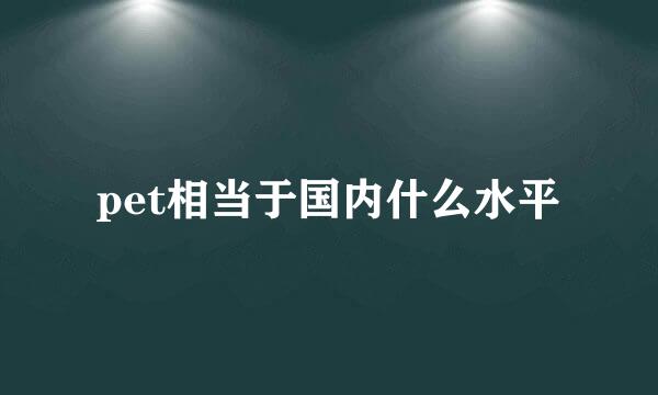 pet相当于国内什么水平