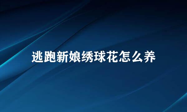 逃跑新娘绣球花怎么养