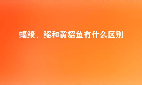 蝠鲼、鳐和黄貂鱼有什么区别