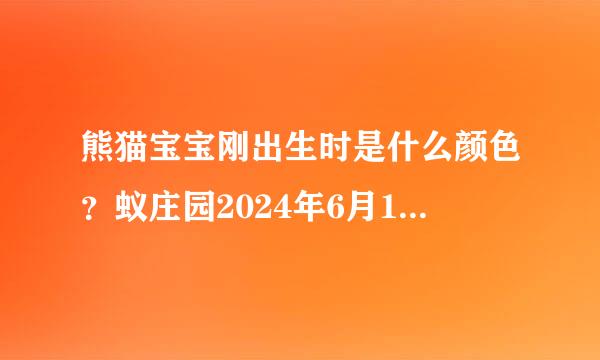 熊猫宝宝刚出生时是什么颜色？蚁庄园2024年6月14日问题