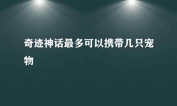 奇迹神话最多可以携带几只宠物