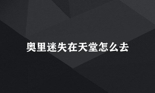 奥里迷失在天堂怎么去