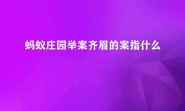 蚂蚁庄园举案齐眉的案指什么