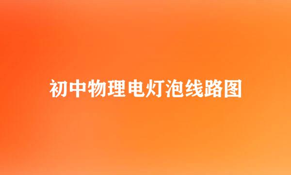 初中物理电灯泡线路图