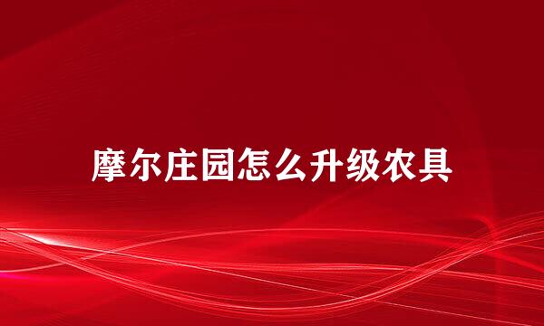 摩尔庄园怎么升级农具