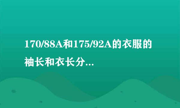 170/88A和175/92A的衣服的袖长和衣长分别相差多少