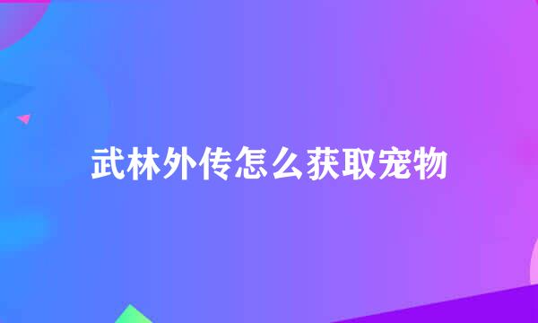 武林外传怎么获取宠物