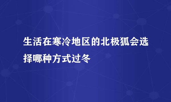 生活在寒冷地区的北极狐会选择哪种方式过冬