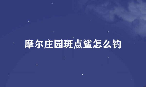 摩尔庄园斑点鲨怎么钓