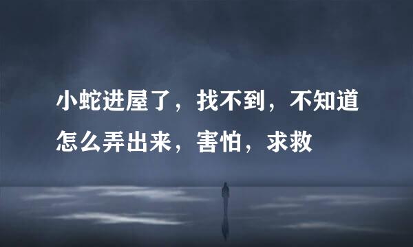小蛇进屋了，找不到，不知道怎么弄出来，害怕，求救
