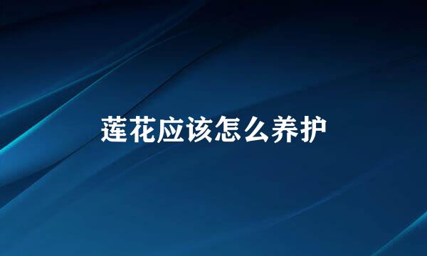 莲花应该怎么养护