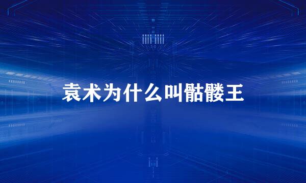 袁术为什么叫骷髅王