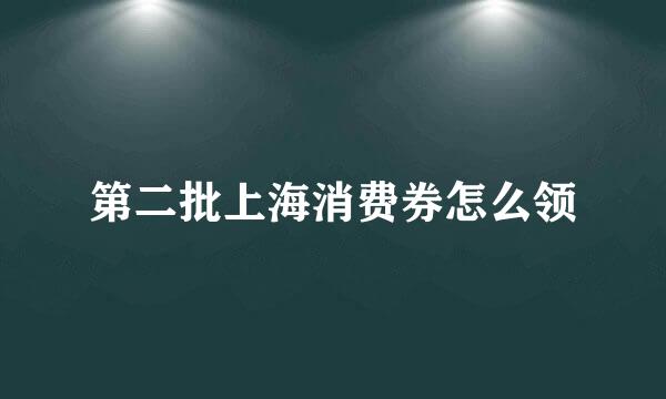 第二批上海消费券怎么领
