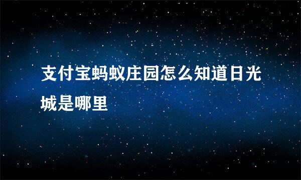 支付宝蚂蚁庄园怎么知道日光城是哪里