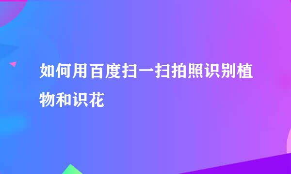 如何用百度扫一扫拍照识别植物和识花