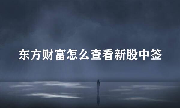 东方财富怎么查看新股中签