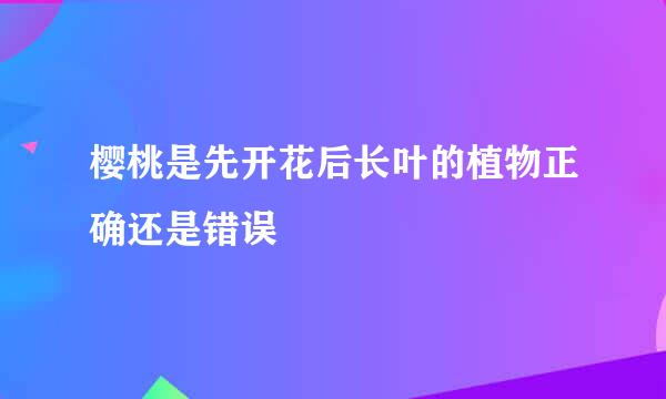 樱桃是先开花后长叶的植物正确还是错误