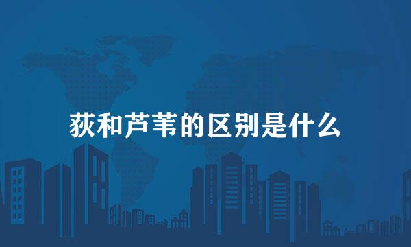 荻和芦苇的区别是什么