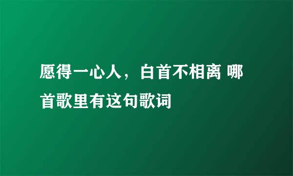愿得一心人，白首不相离 哪首歌里有这句歌词