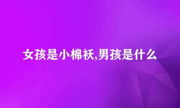女孩是小棉袄,男孩是什么