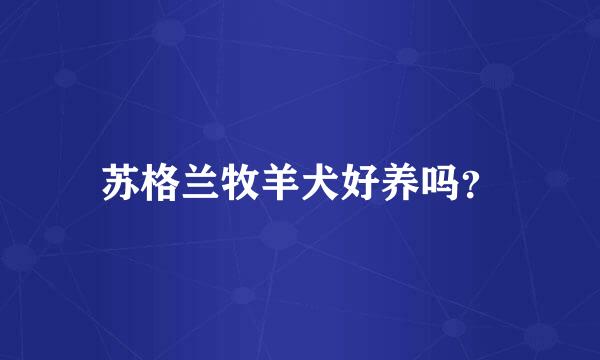 苏格兰牧羊犬好养吗？