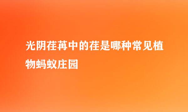 光阴荏苒中的荏是哪种常见植物蚂蚁庄园